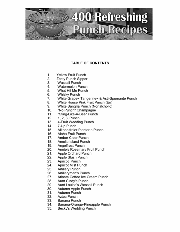 Product picture 400 Refreshing Punch Recipes